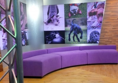 ECD - Production Set Design - Crufts 2015