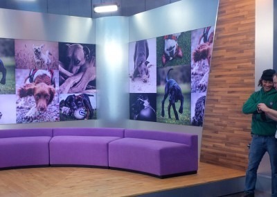 ECD - Production Set Design - Crufts 2015